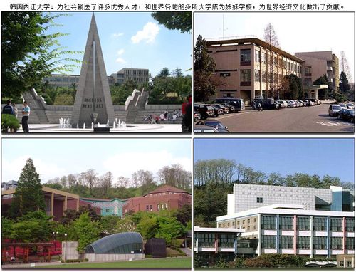 韩国西江大学-韩国排名前十大学？