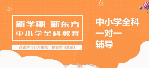 补习班高一-新东方高三冲刺班效果如何？