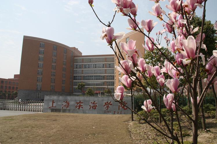 上海闵行的东海学院-东海学院是正规大学吗？