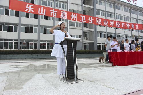 乐山卫生学校-乐山市嘉州卫生职业高中本科班什么意思？