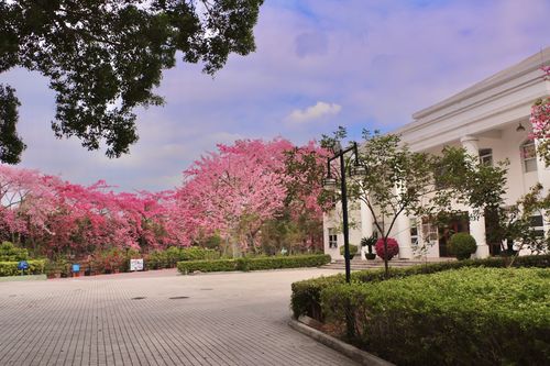 广州华软学院-广州华软学院怎么样？