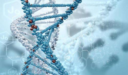 生物科学-生物科学最好的出路？