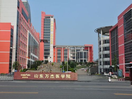 山东省万杰医学院-万杰学院介绍？