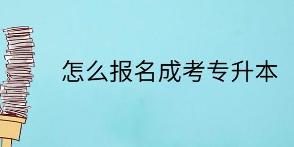 高升专报考条件-专升本自荐报名条件？