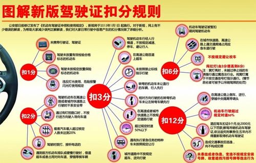 驾照考试新规-驾照改革最新规定？