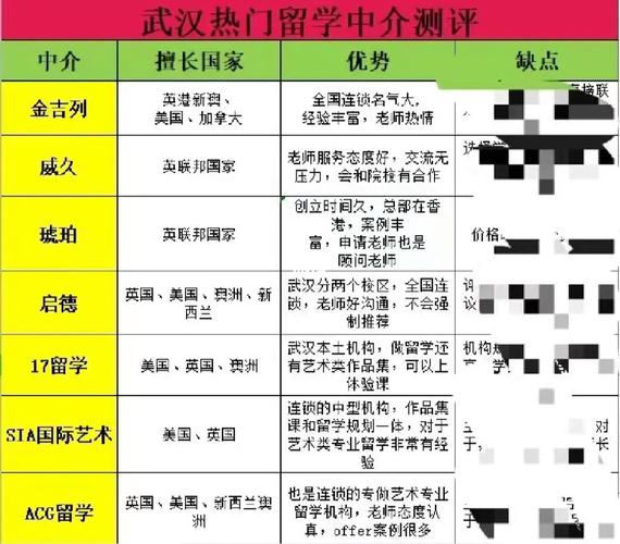 艺术留学中介-武汉留学中介哪个好？