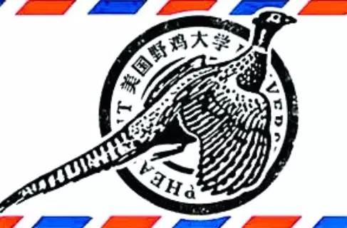 美国野鸡大学-wildchickenuniversity是哪所大学？