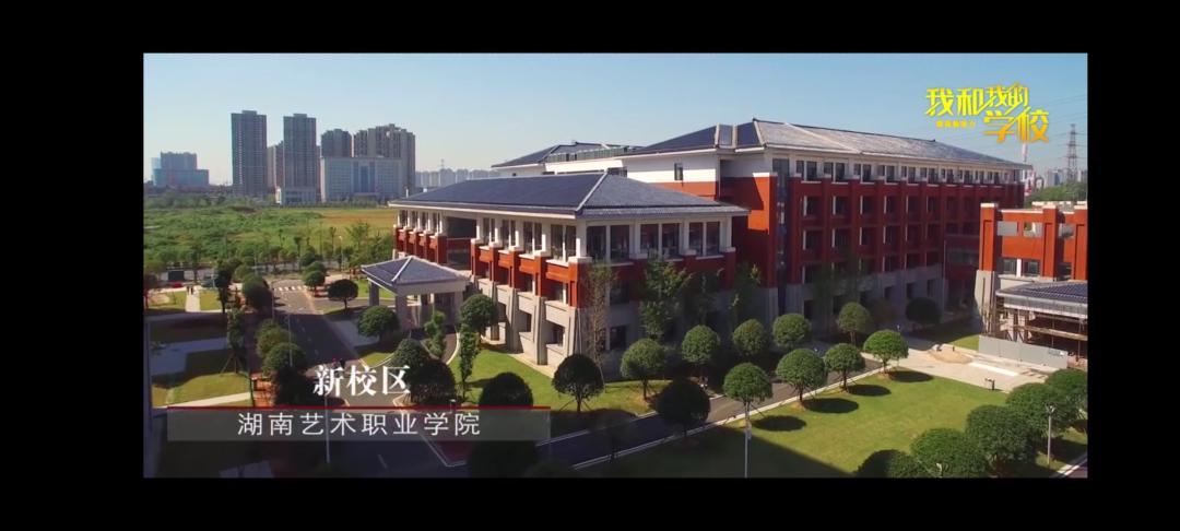 湖南艺术职业学院-湖南艺术职业学院艺术教育学什么？